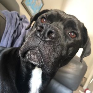 Meet your Posher, Eric